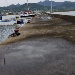 チヌきたー小さい！