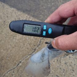 夏イカキロUP❗