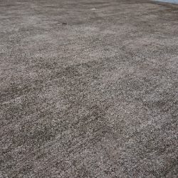 久しぶりの釣果です。