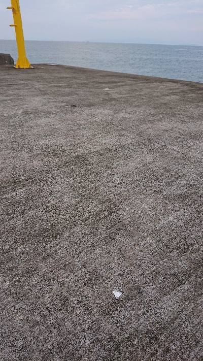 久しぶりの釣果です。