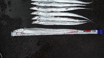 メーターオーバータチウオ