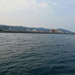 大潮は渋い