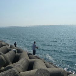 夕マズメが無い