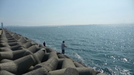 夕マズメが無い