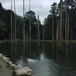 朽木渓流魚ルアーフィールド