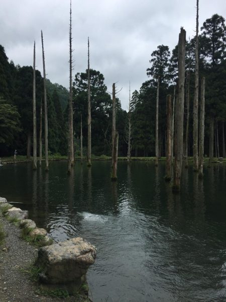 朽木渓流魚ルアーフィールド