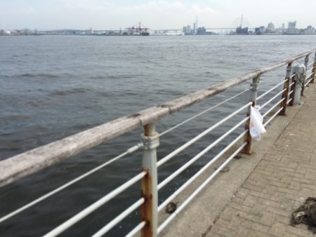 今日もタコ　ツ抜け