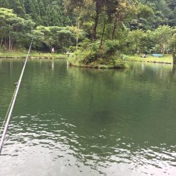 朽木渓流魚ルアーフィールド