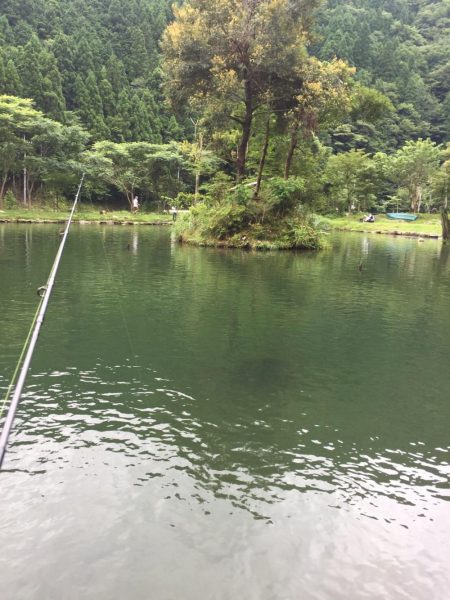 朽木渓流魚ルアーフィールド