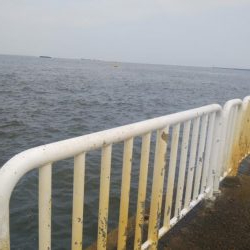 久々によく釣れたけど小さい