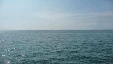 夕マズメが無い