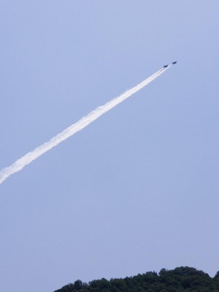 オーフリー 釣果