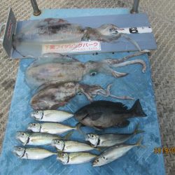 下関フィッシングパーク 釣果