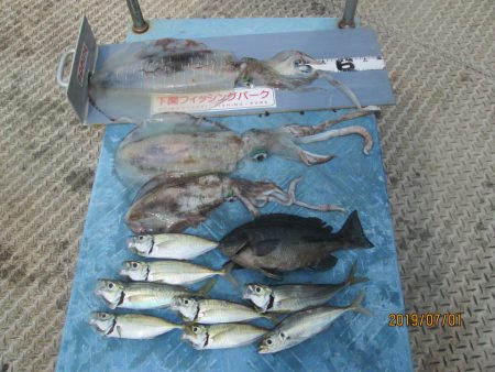 下関フィッシングパーク 釣果