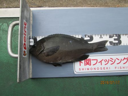 下関フィッシングパーク 釣果