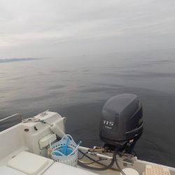 フィッシングボート空風(そらかぜ) 釣果