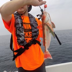 フィッシングボート空風(そらかぜ) 釣果