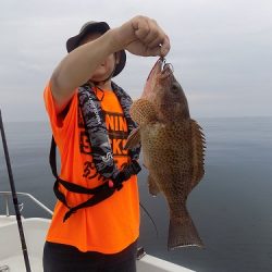 フィッシングボート空風(そらかぜ) 釣果