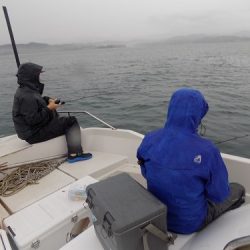 フィッシングボート空風(そらかぜ) 釣果