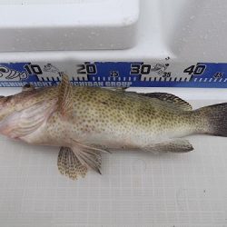 フィッシングボート空風(そらかぜ) 釣果