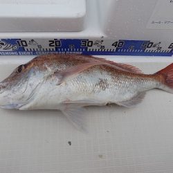 フィッシングボート空風(そらかぜ) 釣果