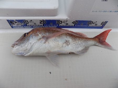 フィッシングボート空風(そらかぜ) 釣果