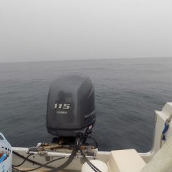 フィッシングボート空風(そらかぜ) 釣果