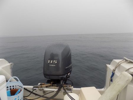 フィッシングボート空風(そらかぜ) 釣果