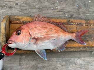 幸吉丸 釣果