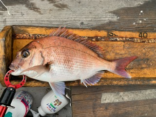 幸吉丸 釣果