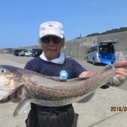 大進丸（新潟） 釣果