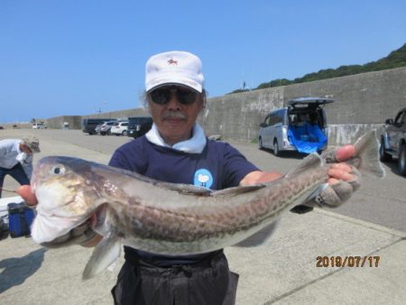 大進丸（新潟） 釣果