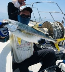 シーモンキー 釣果