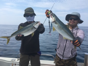 シーモンキー 釣果