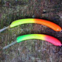 小菅トラウトガーデン 釣果