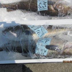 大進丸（新潟） 釣果