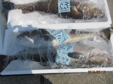 大進丸（新潟） 釣果