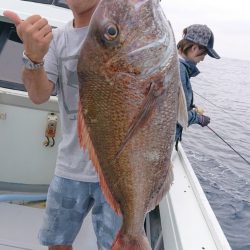 だて丸 釣果