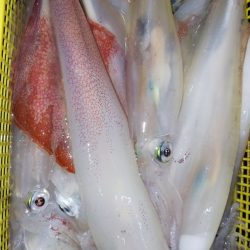 第二龍勢丸 釣果