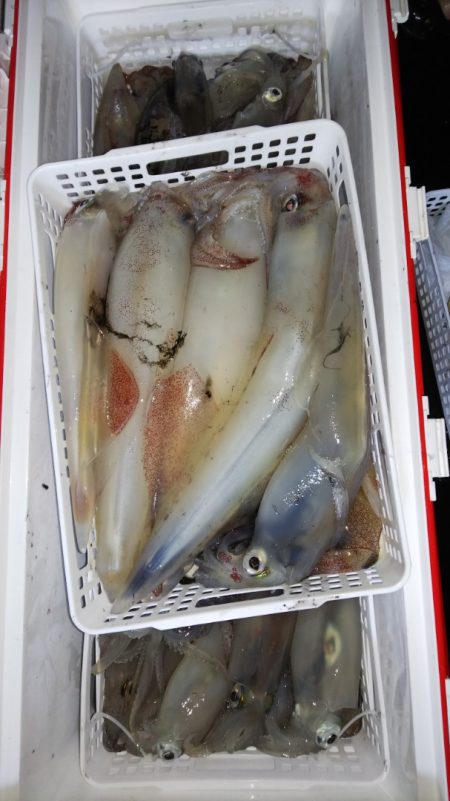 第二龍勢丸 釣果