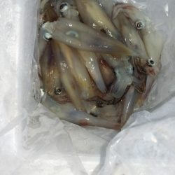 第二龍勢丸 釣果