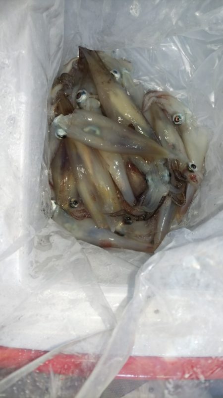 第二龍勢丸 釣果