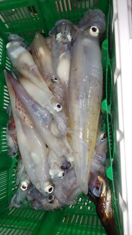 第二龍勢丸 釣果