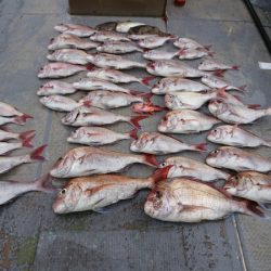 FISHING RISKY 釣果