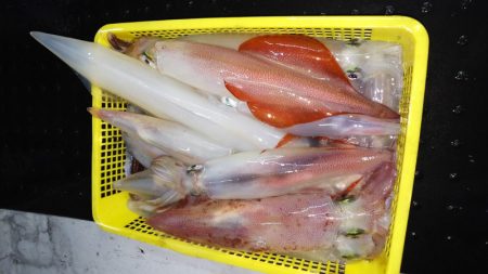 第二龍勢丸 釣果