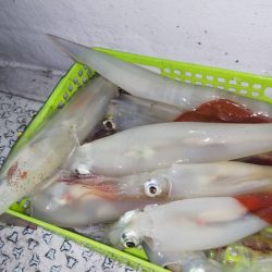 第二龍勢丸 釣果