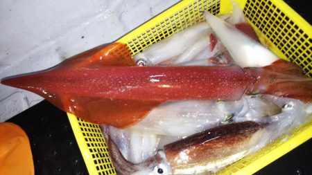 第二龍勢丸 釣果