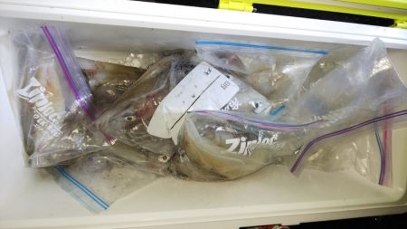 第二龍勢丸 釣果