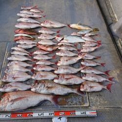 FISHING RISKY 釣果