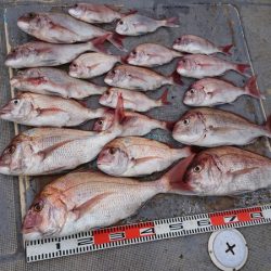 FISHING RISKY 釣果